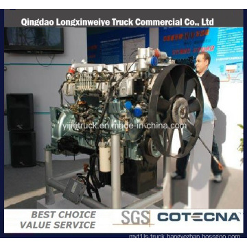 Sinotruk Diesel Engine D10 Series for Vehicle